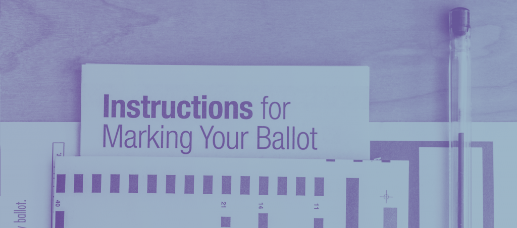 Instructions for marking your ballot