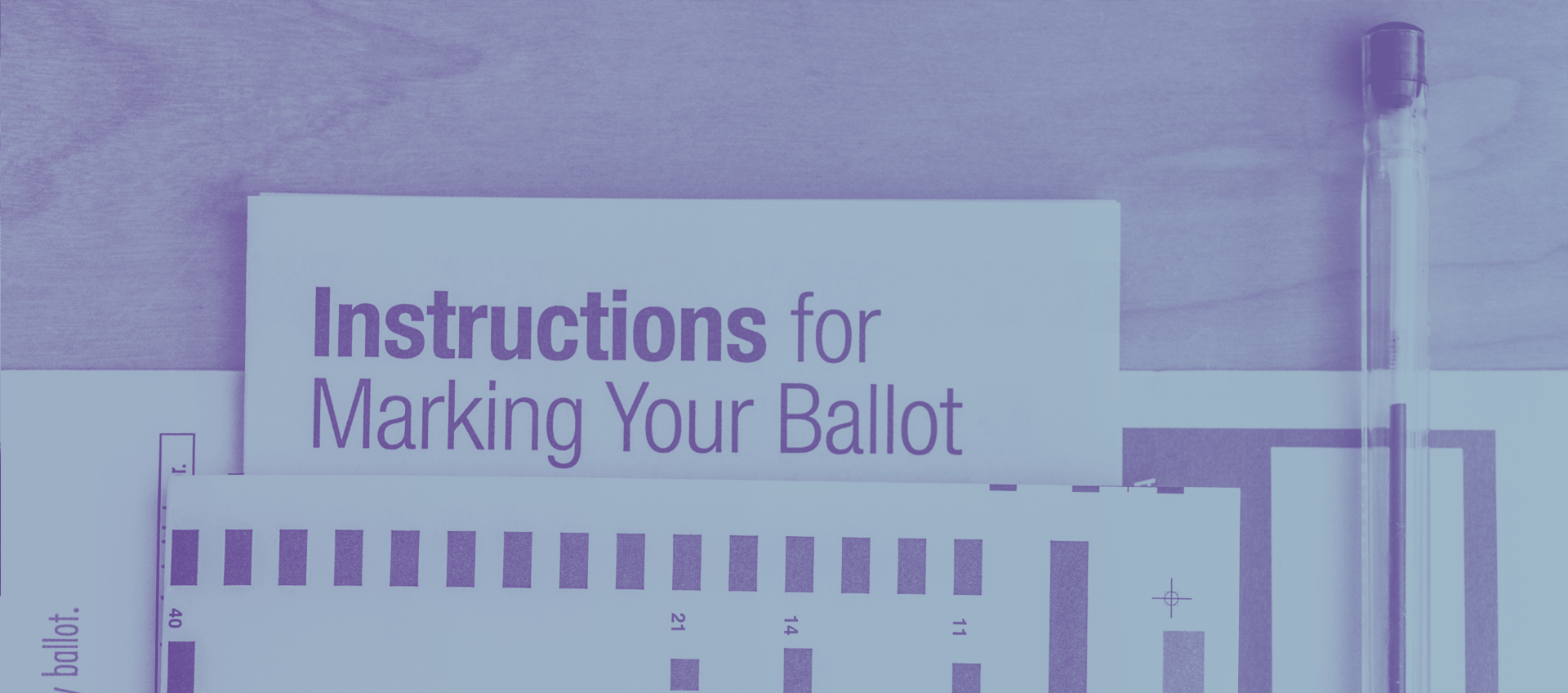 Instructions for marking your ballot