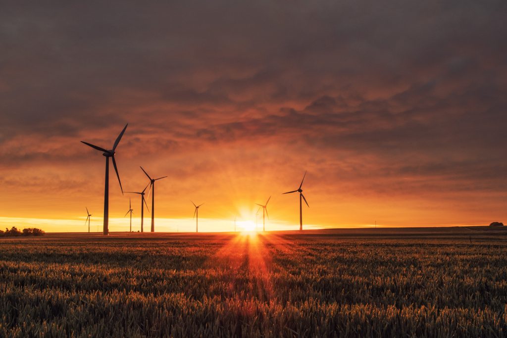 Wind turbines in a field at sunset